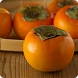 Persimmon Extract